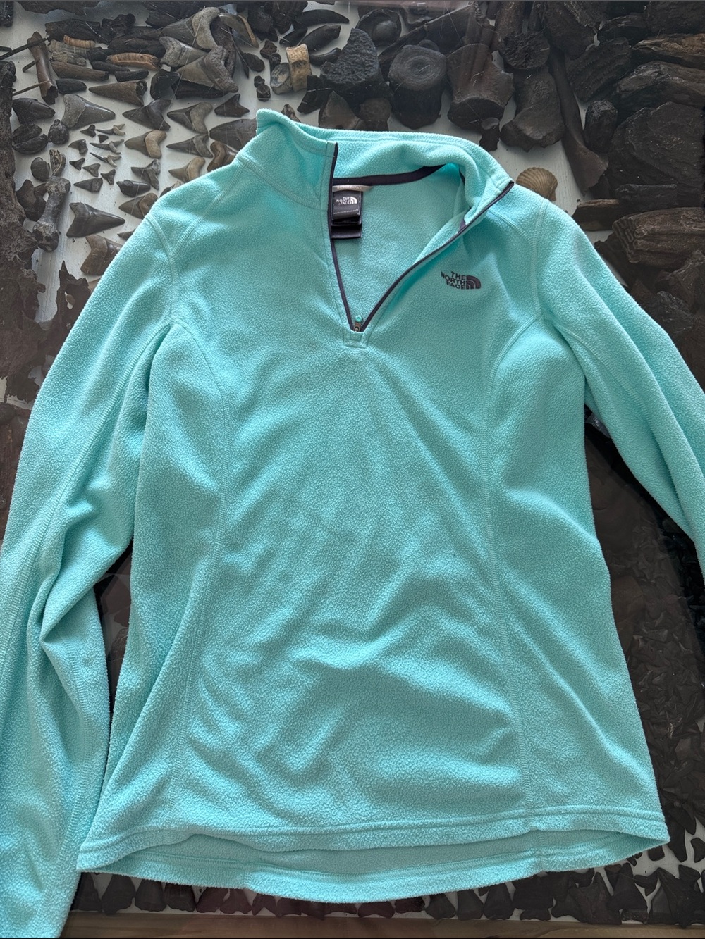The North Face Women’s Aqua Quarter-Zip Fleece Pullover